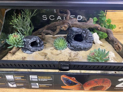 Комплект для содержания 60х45х30