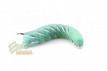 Гусеница табачного бражника - уп. 14-15 шт. Гусеница табачного бражника - уп. 14-15 шт.