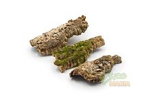 Кора пробкового дуба, полусфера - размер XXS