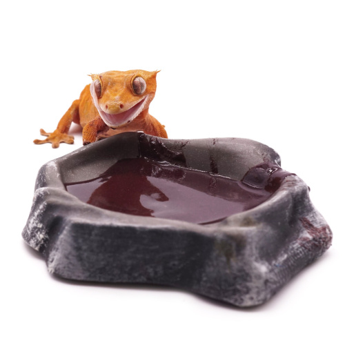 Kate's Geckos Lab Черника-голубика (Смесь для рептилий со вкусом черники и голубики) фото 2