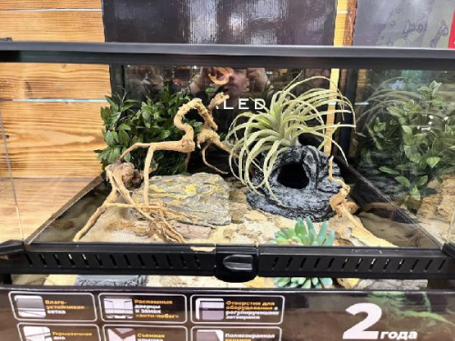 Комплект для содержания 45х45х30 (Л2958)