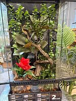 Комплект для содержания 30х30х60 (К2875)