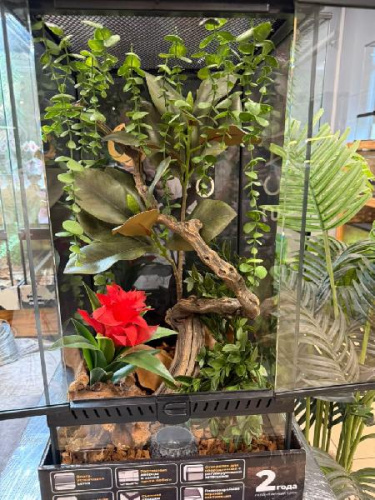 Комплект для содержания 30х30х60 (К2875)