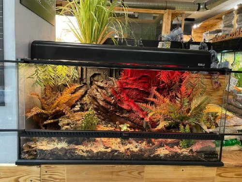 Авторский комплект "Smaug" 90х45х45 (Л2235)